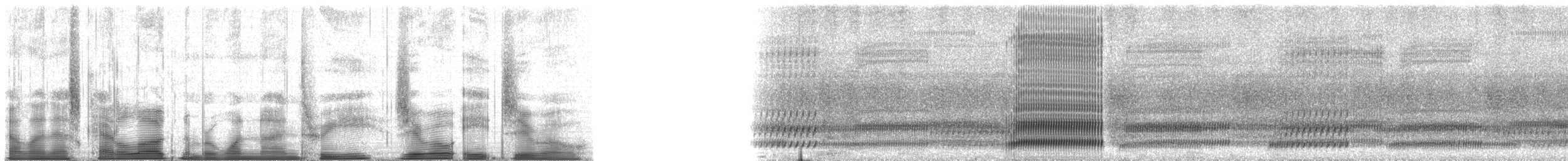 Cope's Gray Treefrog - ML193080