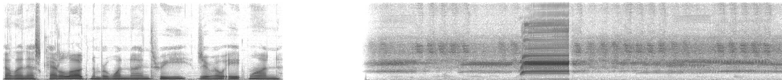 Cope's Gray Treefrog - ML193081