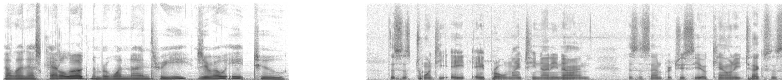 Cope's Gray Treefrog - ML193082