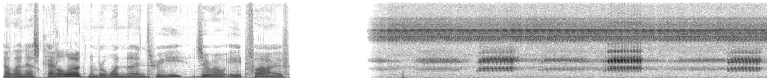 Cope's Gray Treefrog - ML193085