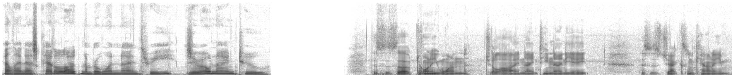 Gray Treefrog - ML193092