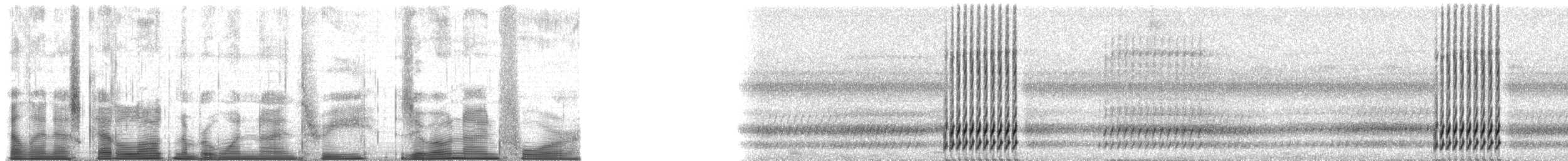 Gray Treefrog - ML193094