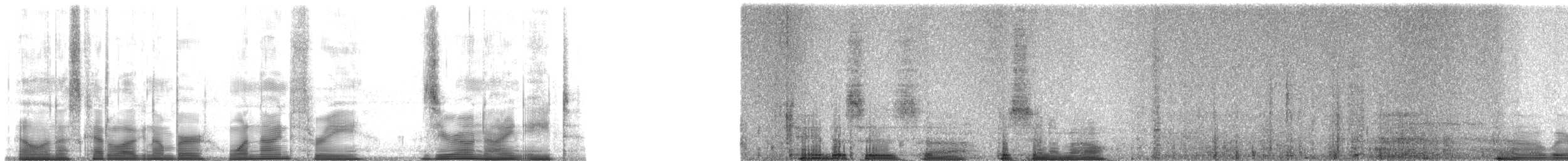 Ferruginous Pygmy-Owl (Ferruginous) - ML193098
