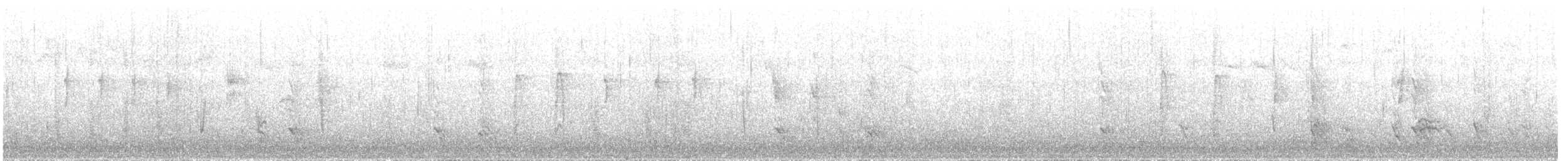 White-throated Dipper - ML193116831