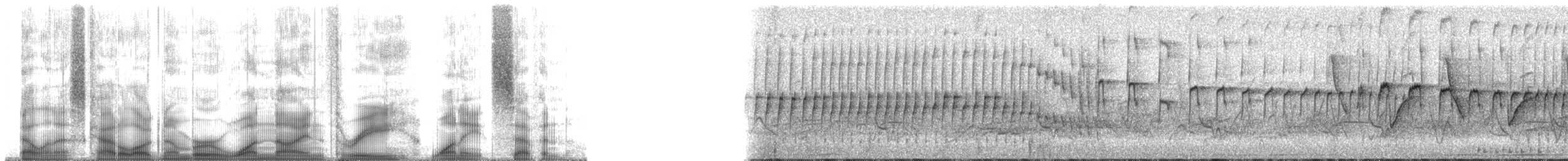 インキジヴィカザリドリ - ML193187