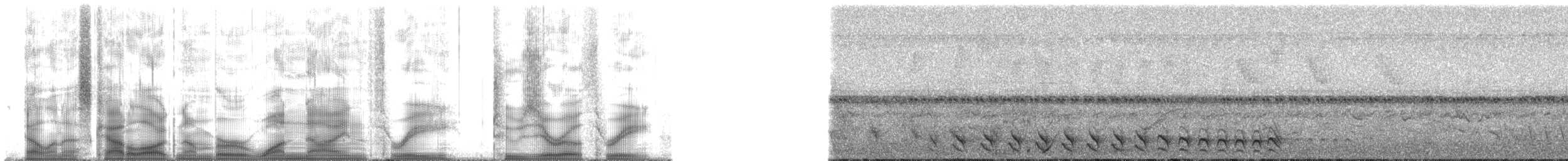 Şeritli Karıncaavcısı [doliatus grubu] - ML193203