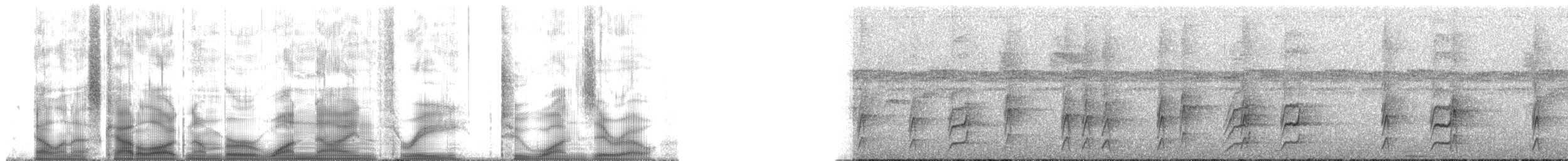 White-eyed Foliage-gleaner - ML193210