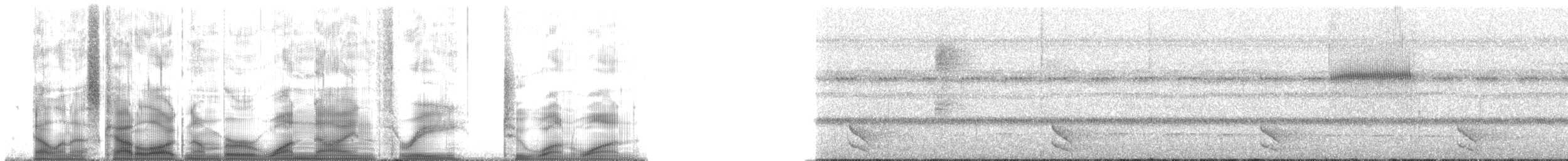 Barred Forest-Falcon - ML193211