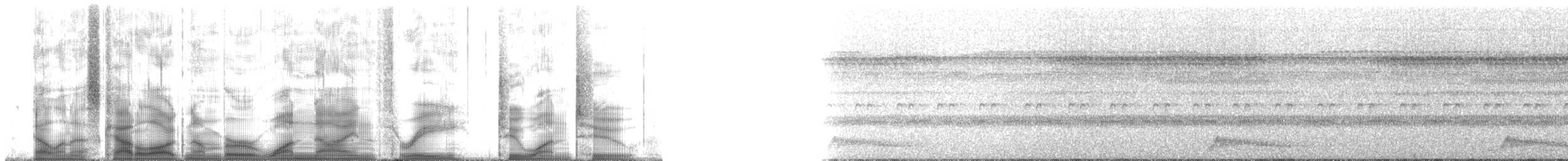 Ocellated Poorwill - ML193212