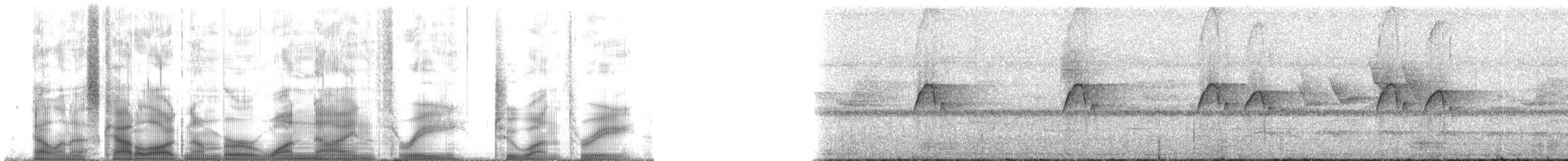 Phyllomyias sp. - ML193213