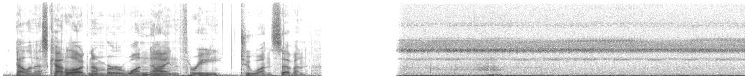 Black-banded Owl - ML193217