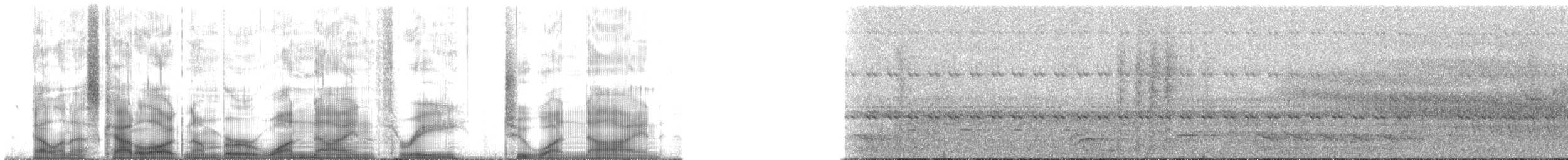 Sharp-tailed Streamcreeper - ML193219