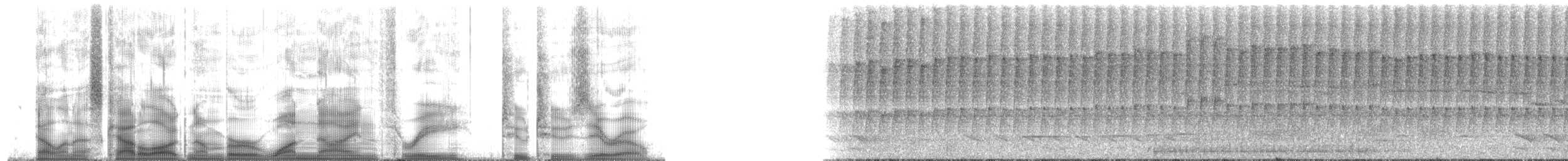 Helmeted Woodpecker - ML193220