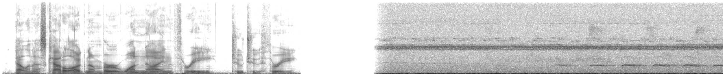 trogon atlantský - ML193223