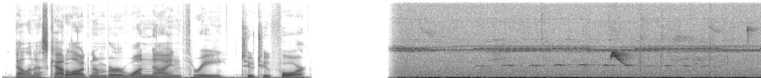 Euler's Flycatcher (Euler's) - ML193224