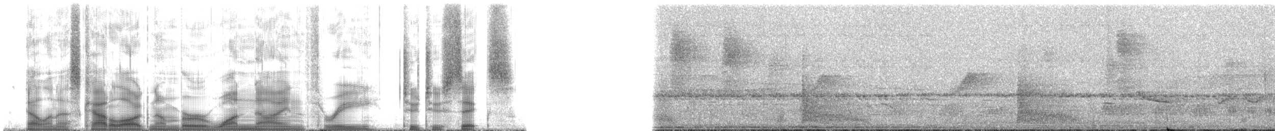 Plain-winged Woodcreeper (Plain-winged) - ML193226