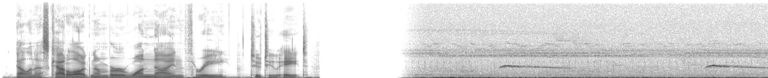 Large-headed Flatbill - ML193228