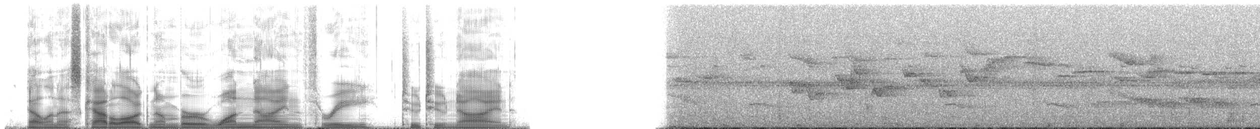 Blackish-blue Seedeater - ML193229