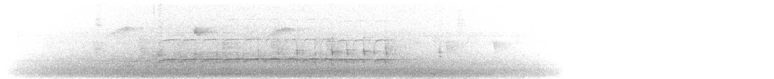 leskovec neotropický - ML193253211