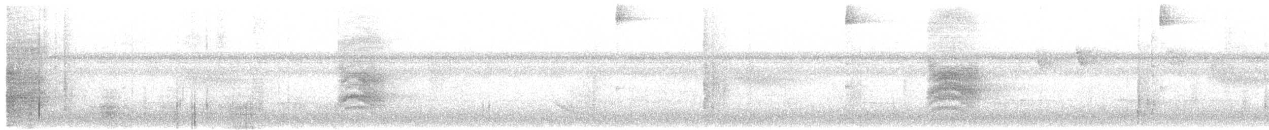 Kestane Sırtlı Karıncakuşu - ML193254771
