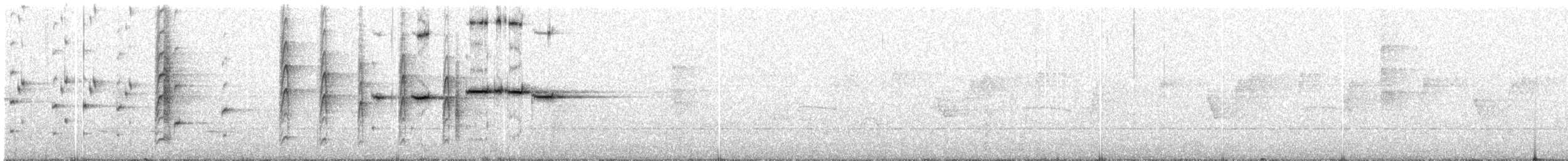 Gray Fantail (keasti) - ML193260