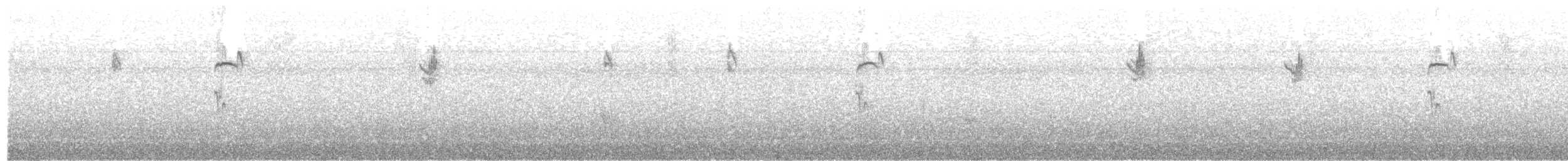 Spotted Flycatcher - ML193262141