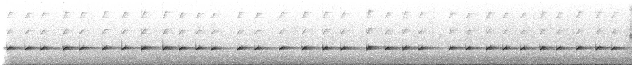 hvitstrupebarkkryper (minor) - ML193289