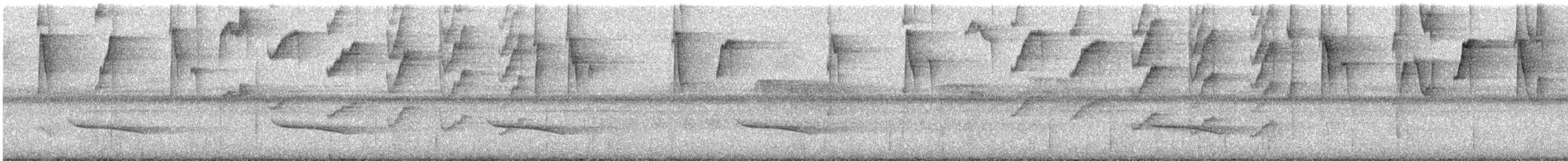 Ерміт-серподзьоб темнохвостий - ML193290891