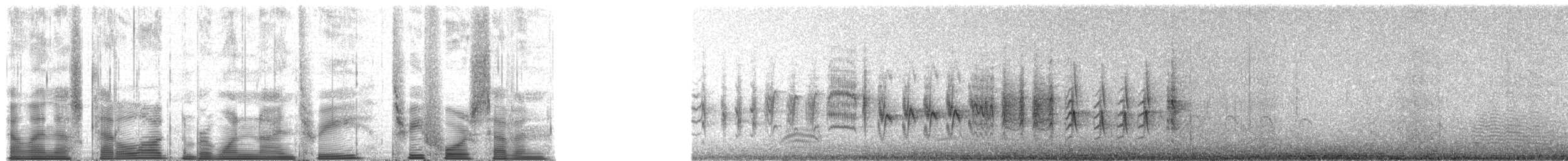 Sykes's Warbler - ML193347