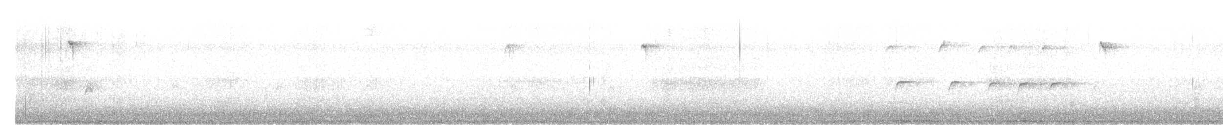 Пасовка співоча (підвид montana/merrilli) - ML193367491