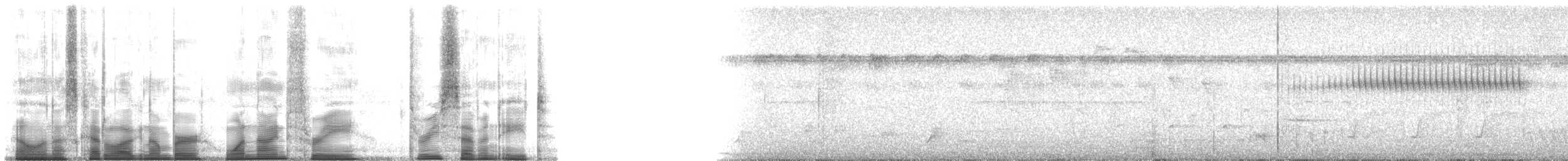 Happy Wren - ML193378