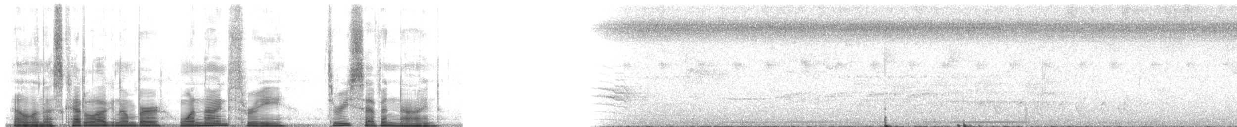 Длинноклювый улиткоед (uncinatus) - ML193379