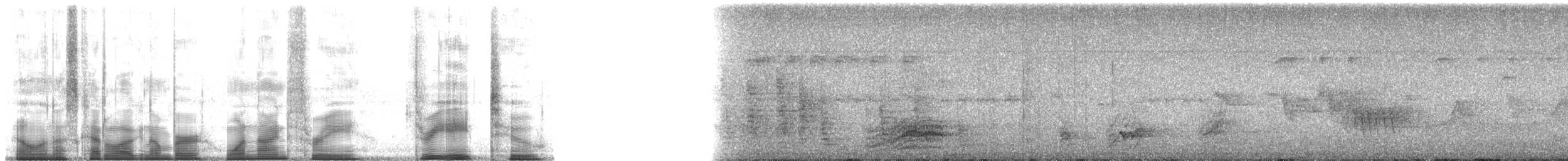 Russet-crowned Motmot - ML193382