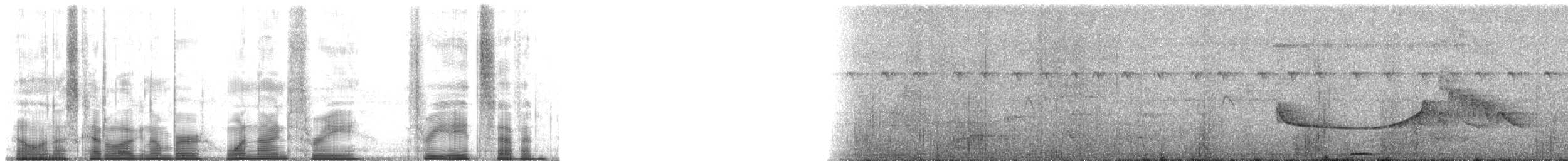 Flammulated Flycatcher - ML193387