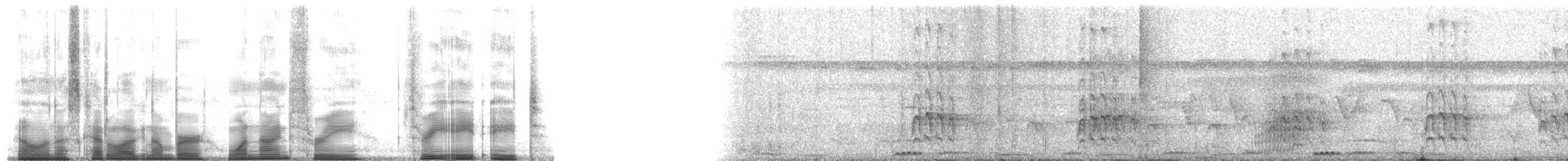 Golden-cheeked Woodpecker - ML193388