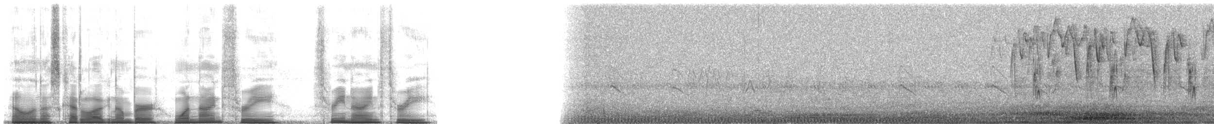 Bridled Sparrow - ML193393