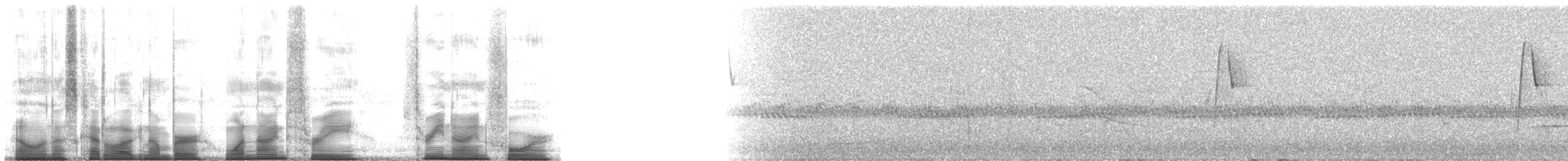 Bridled Sparrow - ML193394