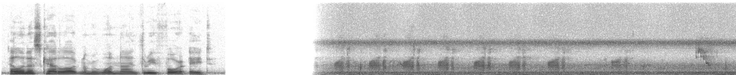 Black-tailed Tityra (Eastern) - ML19348
