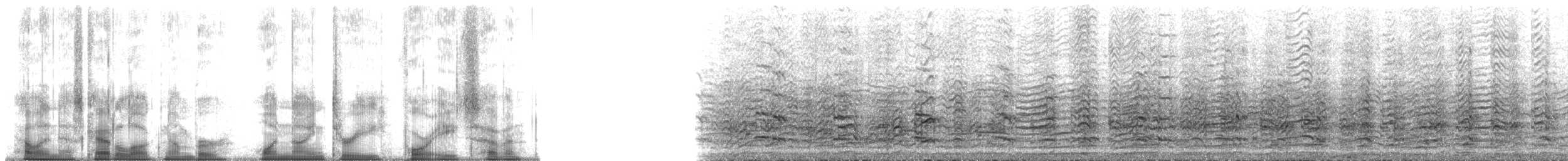 Dreizehenmöwe (pollicaris) - ML193487