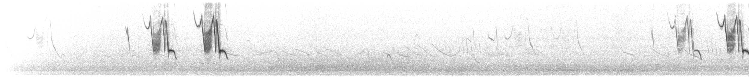 Band-tailed Sierra Finch - ML193523311