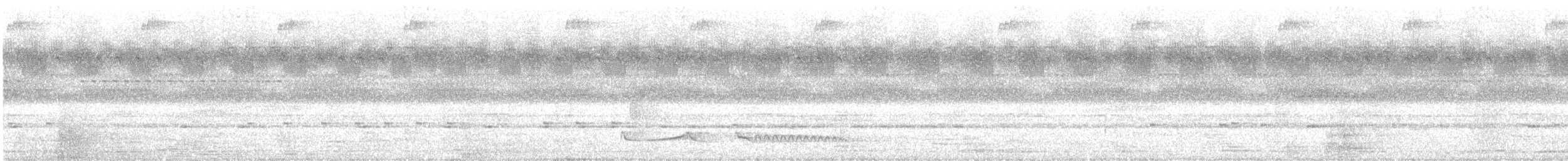 Ötücü Çobanaldatan (nigriscapularis) - ML193536931