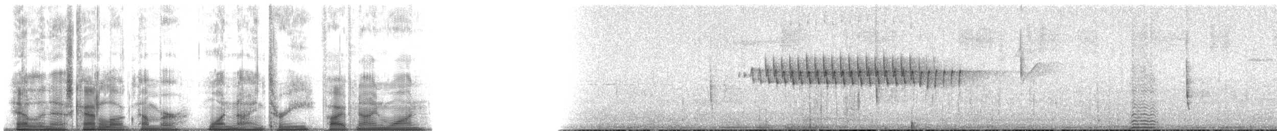 Orange-crowned Warbler - ML193591