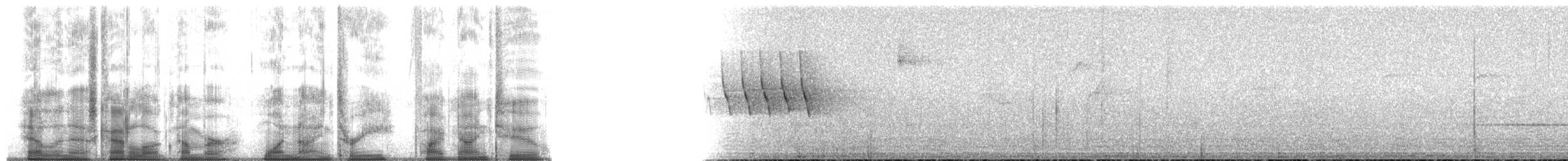 Wilson's Warbler - ML193592