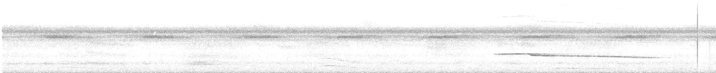 Riesenglanzvogel - ML193606151