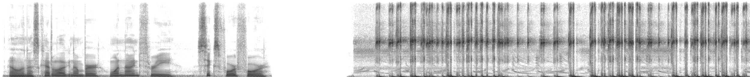 Mertens's Yellow Tree Frog - ML193644