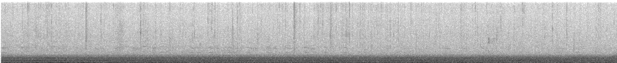 Cygne tuberculé - ML193720151