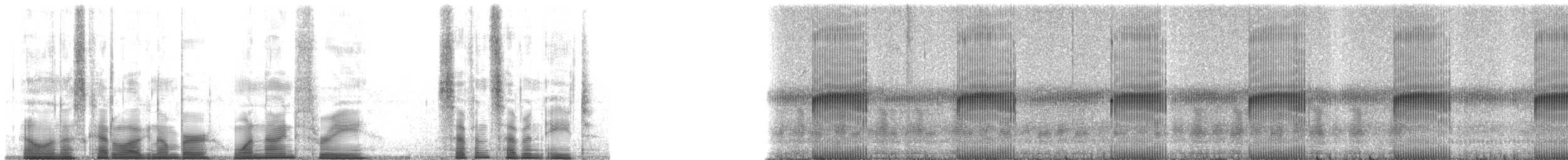 Painted Tree Frog - ML193778