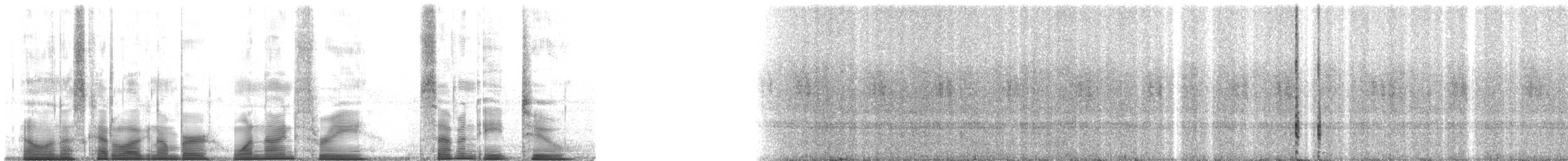 Small-eared Tree Frog - ML193782