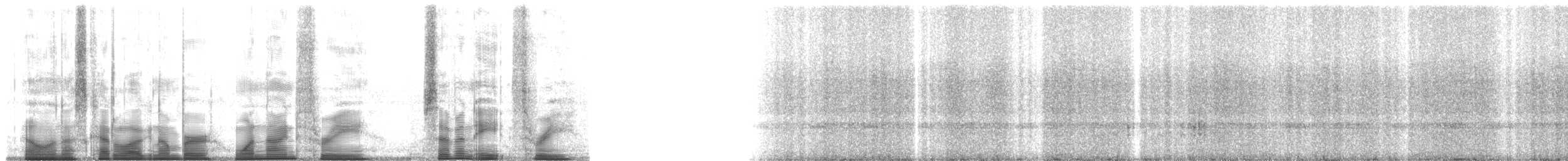 Small-eared Tree Frog - ML193783