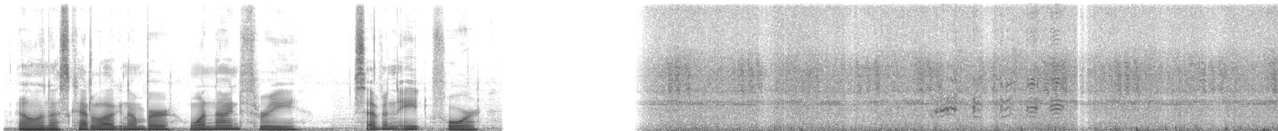 Small-eared Tree Frog - ML193784